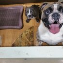 호텔아지트 이미지