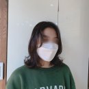머리헤여