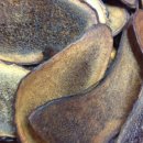 봉산한의원 이미지