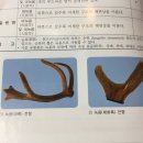 민들레하나한의원 이미지