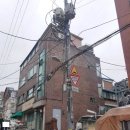 기풍약국 Daum카페