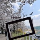충훈매점