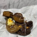 [동인동 카페] 귀여운 케이크, 수제쿠키 맛집 보드라봉
