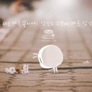 페리테일 이미지