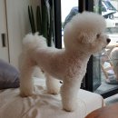 레띠에