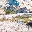 쉬어가기 좋은 날 이미지