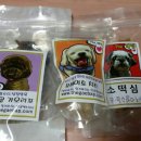 펫북(Pet Book) 네이버블로그