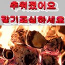 RE:빈 둥지 증후군인가? 이미지