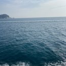 이어서 올리는 부산여행기 2탄 ˙˚ʚ(‘◡’)ɞ˚˙ (day3,4)