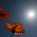 황화농장 이미지
