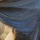 엘리스 헤어 (Alice Hair)