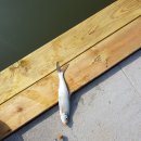 백학저수지 이미지