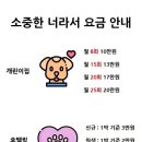 울산유치원 이미지