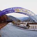 옥정호구절초테마공원 이미지