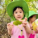 상9아띠 모아어린이집 수락산 둘레길(무장애숲길) 걷기 이미지