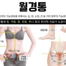 비버랑토리랑한의원 이미지