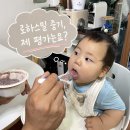 로하스밀 중기 이유식 입자감,묽기,양까지 꼼꼼 리뷰