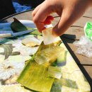 유기농라이프 이미지