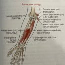 RE:MOVE P.T 이미지