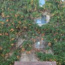 NR-30[달구벌대로]-상-440 | [대구맛집] 소갈비찜이 일품인 대봉동 맛집 <바른면옥> 재방문 후기