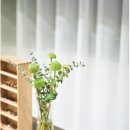 오뜨안경 이미지