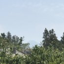 청수1789 이미지