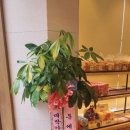 뚜레쥬르 광주수완대방 이미지