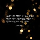 흑암농장 이미지