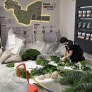 용산-77 | 용산 어린이정원 실내조경 시공 후기 | 기존 식재 리뉴얼 사례