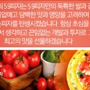 59쌀피자(성안점) 이미지