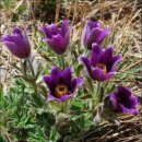 유림-1093 | 대한민국 성씨(23.문씨), 학문과 교양, 문치(文治)를 상징하는 성씨인 문씨(文氏)의 유래는?