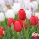 방과후지도사 이미지