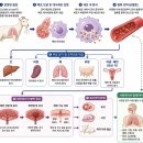 G.B.S 웅천농장 | 염소에서 큐열(Q fever) 관리 방안