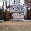 포남주유소 Daum카페