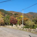 머물다삼포 이미지