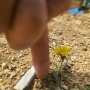 냉수농장 이미지