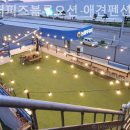 더 퍼피즈 블루오션 이미지