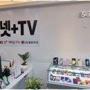 본통신 네이버블로그
