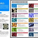 유바이오랩 이미지