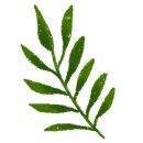 힐링 플라워테라피 이미지