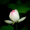 조천 산책로화장실 이미지