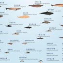 범고래상회 이미지