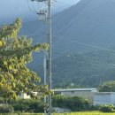 주영메드 이미지