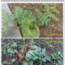 묵정어린이공원 이미지