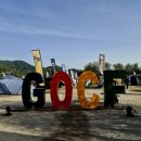 바니점핑 | 2026년 GOCF 자라섬 방문 후기