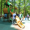 장태산휴양림 이미지