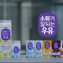 매일광고기획