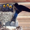 북부상가시장 이미지