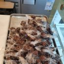 Bakery Eric's 손