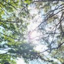 영신약수터 이미지